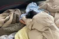 市川海老蔵『おっき』