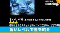 魚の“旨いレベル”も伝える市立室蘭水族館