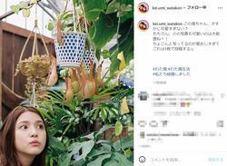 「この海ちゃん、さすがに可愛すぎない？」川島海荷を撮影した中田圭佑の“のろけ”に反響「愛であふれてる！」