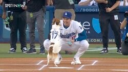 どうした！？ 大谷翔平に“想定外のハプニング”「どんな顔？」 デコピンに“異変”→まさかの行動…「可愛すぎ」「制御不能w」