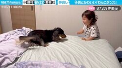 息ぴったり！赤ちゃんとダックスフントの“わん子ダンス”に「見てたらすごい笑顔になっちゃった」「最高の温もりある空間」と反響