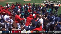 MLB識者も「手足が出るのは久しぶり」大谷翔平も巻き込まれた8人退場、ド迫力の乱闘劇はなぜ起きた