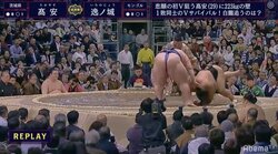 今日も炸裂！逸ノ城の“怪力つぶし”　大関・高安を土俵へ押しつぶし1敗キープ