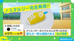 靴の中から“無限に出てくる砂”を「胡椒入れ」で再現!? 驚きのクオリティに「ホントに土に見えてしまうｗ」「懐かしい…」と話題沸騰