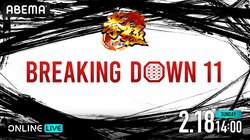 Breaking Down11（ブレイキングダウン11）結果・速報・対戦カード・大会情報