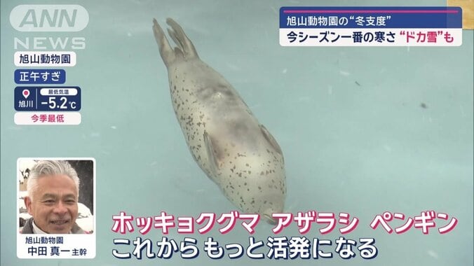 旭山動物園　中田真一主幹