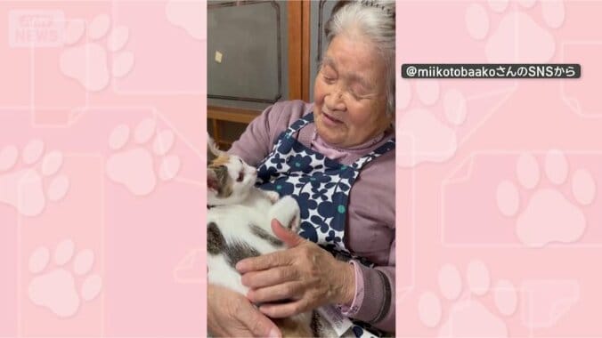 おばあちゃんと仲良し