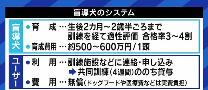 “同伴可”のレストランなのに“入店拒否”も…視覚障害者の女性「私のパートナー、盲導犬の姿を知って」 4枚目