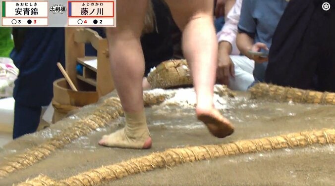 「マジかよ涙」安青錦、取組中の“異変”に心配の声 関脇・藤ノ川の猛攻に屈す 土俵下の姿に「これ以上は…」 7枚目
