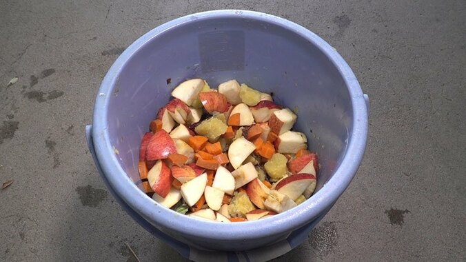 動物たちの可愛すぎる“食事タイム”に密着！ ホワイトタイガーこだわりのディナーとは？ 15枚目