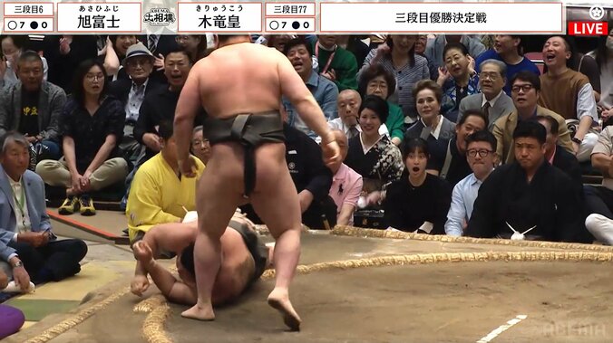 「気品がすごい」「美しすぎる」大相撲千秋楽、“着物姿”の女性著名人が“降臨”「すぐにわかる」ファン騒然 5枚目