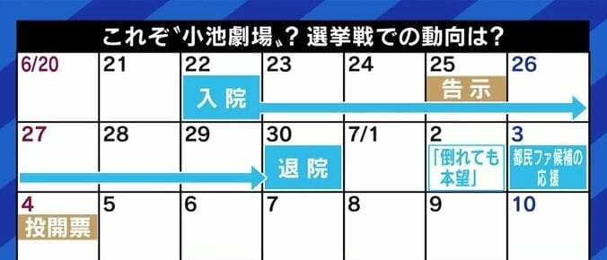 「菅さんとの関係が悪いし、安倍さんも絶対にノーだ」…“小池都知事が自民党から衆院選に出馬”説を元産経政治部長が否定 3枚目