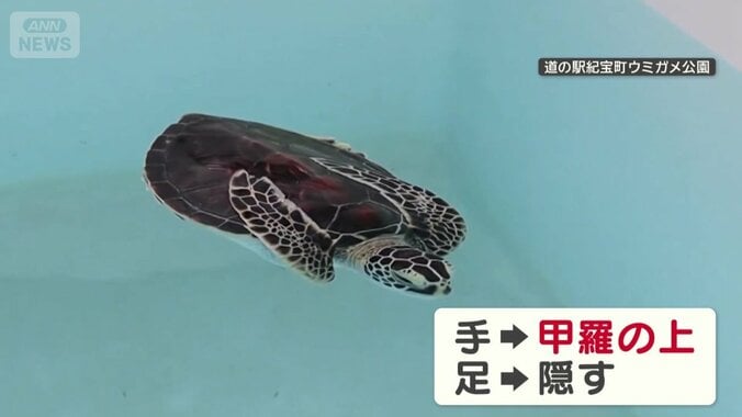 独特なポーズ！