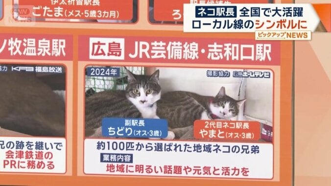「やまと」と「ちどり」