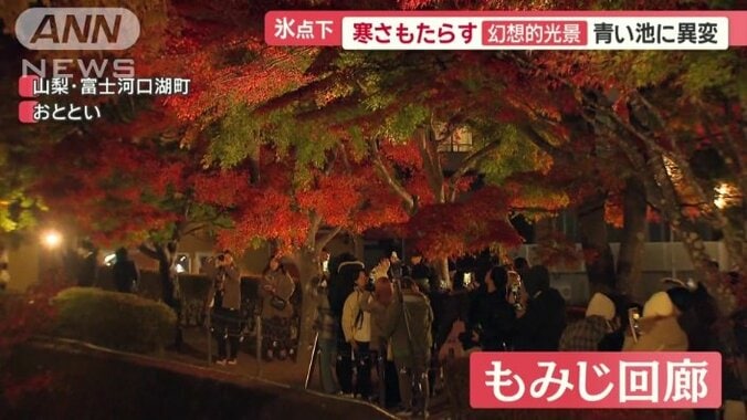 山梨県・河口湖の紅葉スポット「もみじ回廊」