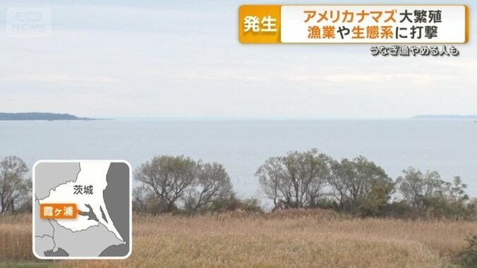 茨城県霞ヶ浦