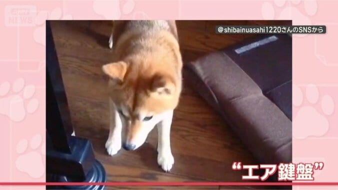 音に合わせてステップ