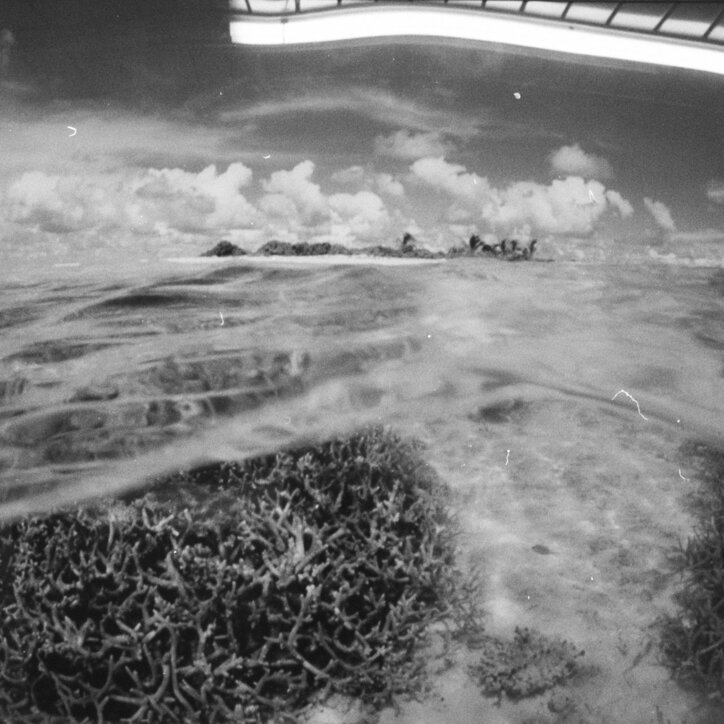 【写真・画像】 2枚目
