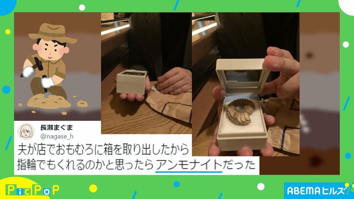 【写真・画像】ピクポ 0202 2枚目