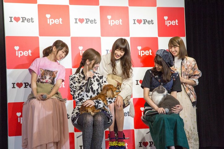 乃木坂46がペット保険CMキャラに就任！ 秋元真夏「白石麻衣のペットに今すぐなりたい」