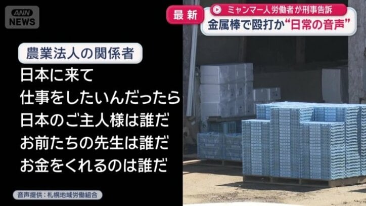 農場でのやりとり