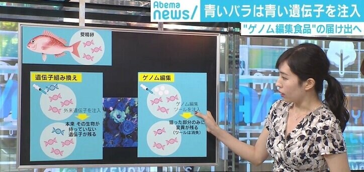 10月にも流通 ゲノム編集食品“表示義務なし”の科学的な理由
