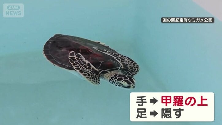 独特なポーズ！