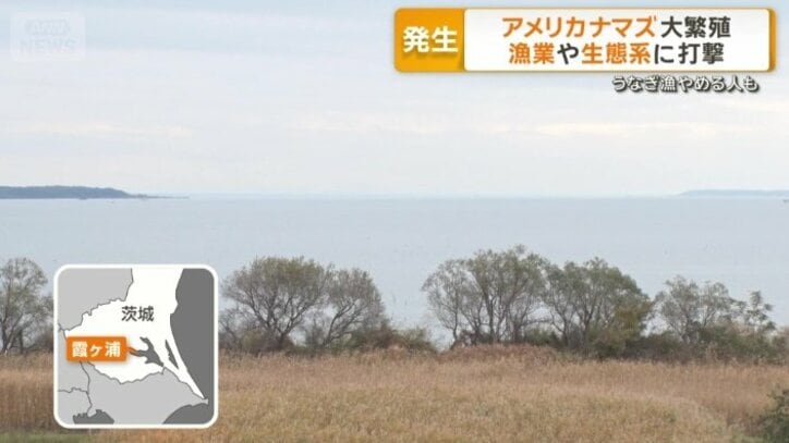 茨城県霞ヶ浦