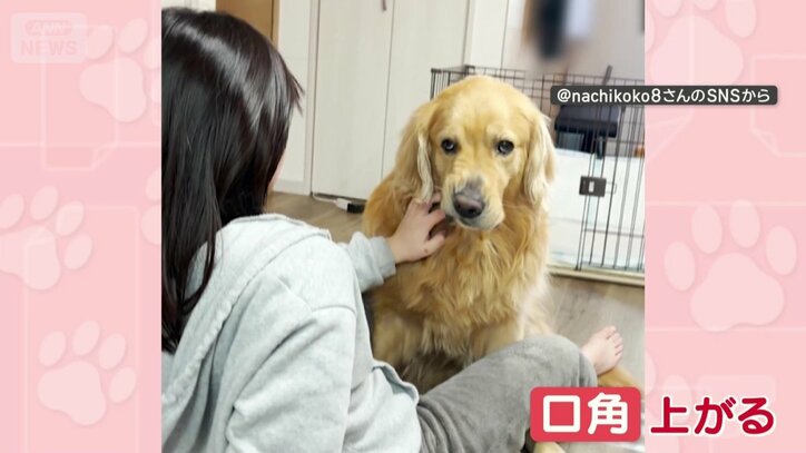 なでた方だけ口角が上がる