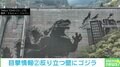 ダムに「巨大なゴジラ」出現？ 描いたのはケルヒャー！？