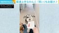 手紙をくわえて主人にお届け！ しかしもう1匹が“返却” 「笑わせてもらいました」の声