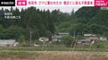 秋田市 クマに襲われたか 畑近くに身元不明遺体