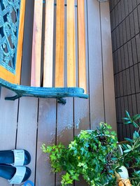 堀ちえみ『身体の故障と上手く付き合いつつ』