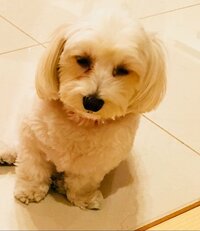 小川菜摘『重い腰がついに、、、』