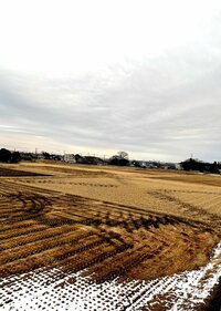 北斗晶『ヤバい餅』