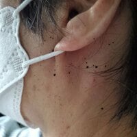 かとうかず子『きゃー』