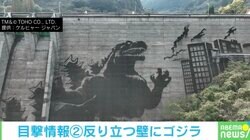ダムに「巨大なゴジラ」出現？ 描いたのはケルヒャー！？