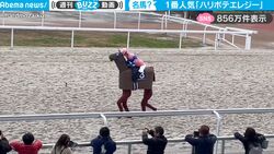 一体、これは何！？ダートコースを歩くのはハリボテの馬！伝説の名馬“ハリボテエレジー”の自作コスプレがシュールすぎて反響「最強の実写化」