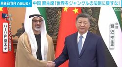 中国 習主席「世界をジャングルの法則に戻すな」