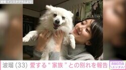 波瑠（33）、1年前に愛犬と別れ「むくはお星さまになりました」「おかーさん元気に頑張ってるよ！」
