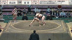 力士とは思えない“後ろ姿”に「背中バキバキだ」ファン衝撃 土俵を降りた“細マッチョ”力士の鍛え抜かれた肉体に驚き