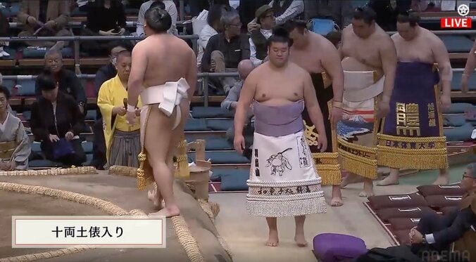 十両力士の「まわしの絵は何？？」　これなら今日も「だいじょぶだぁ」土俵入りで熱視線→白星飾る 3枚目