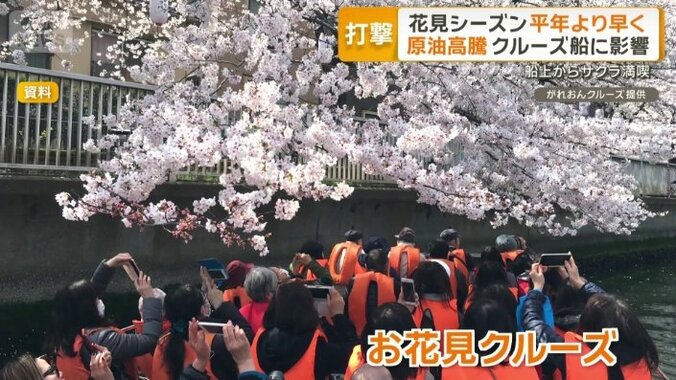 お花見クルーズ