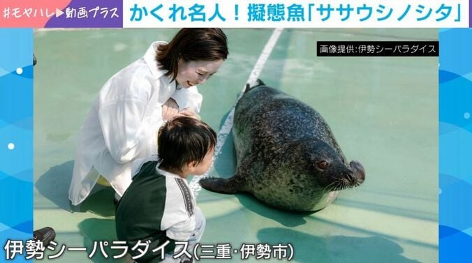 伊勢シーパラダイス