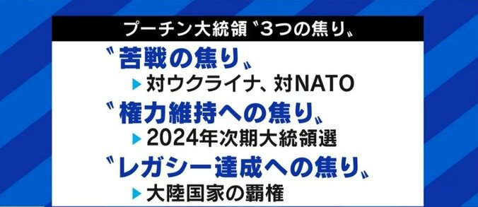 コロナ禍でロシアの最高意思決定機関が硬直化? 焦るプーチン大統領、次の選挙に向けて権力基盤の揺らぎも 2枚目