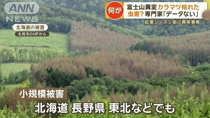 小規模被害は北海道、長野県、東北などでも起きている