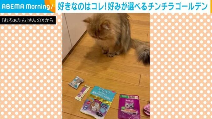 むふぁたんくん