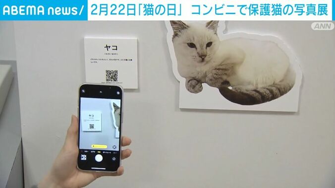 保護団体の譲渡サイトなどにつながるQRコード