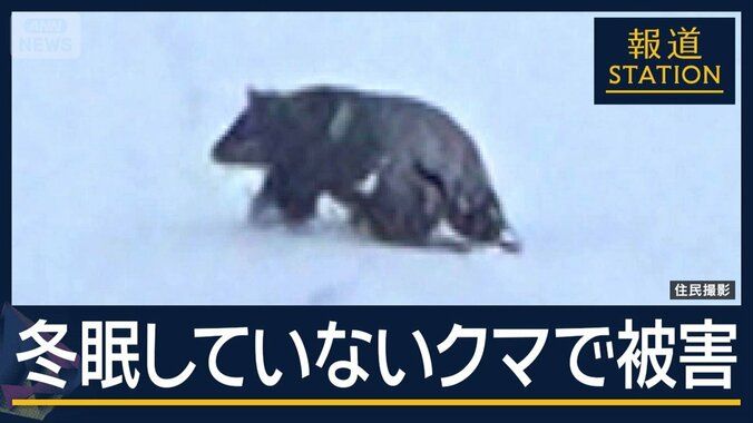冬眠は？人気温泉地では除雪作業中に…クマ被害相次ぐ　ポイントはエサの存在 1枚目