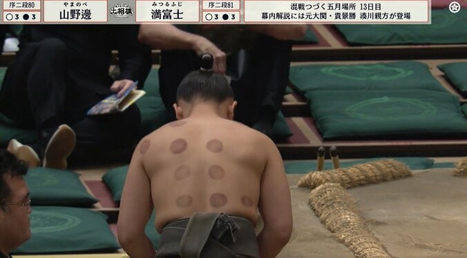 「もの凄い痕跡」「背中が草間彌生」16歳の序二段“イケメン”力士、“背中”の紋様にファン驚き 3枚目